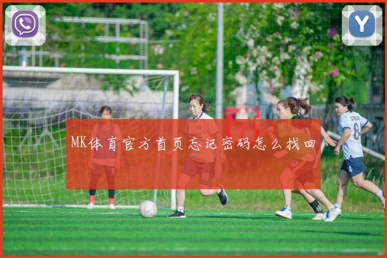 MK体育官方首页忘记密码怎么找回