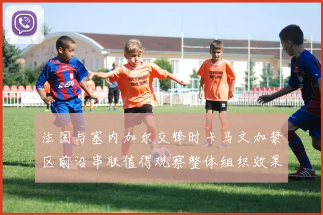 法国与塞内加尔交锋时卡马文加禁区前沿串联值得观察整体组织效果